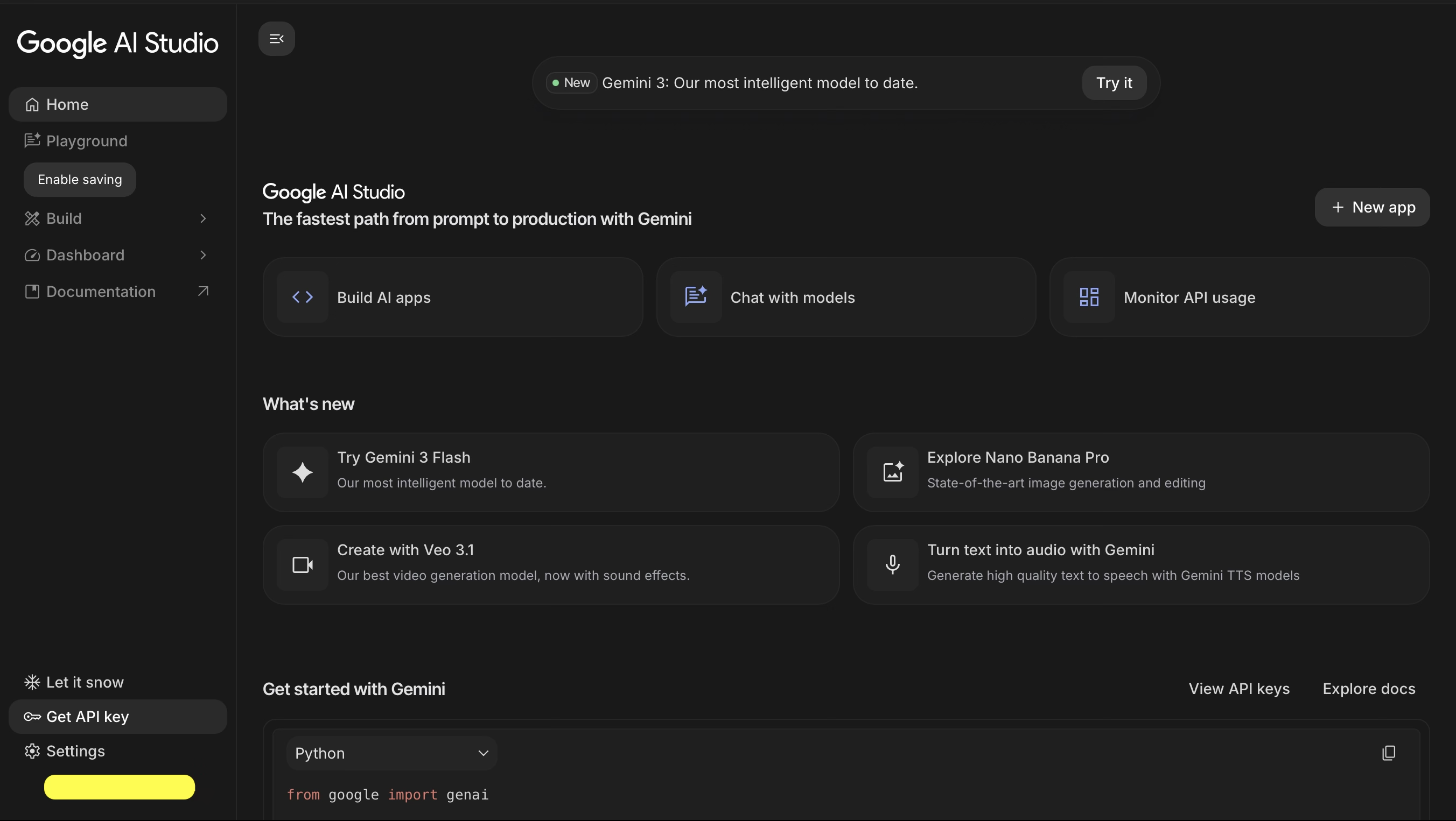 Google AI Studio Dashboard