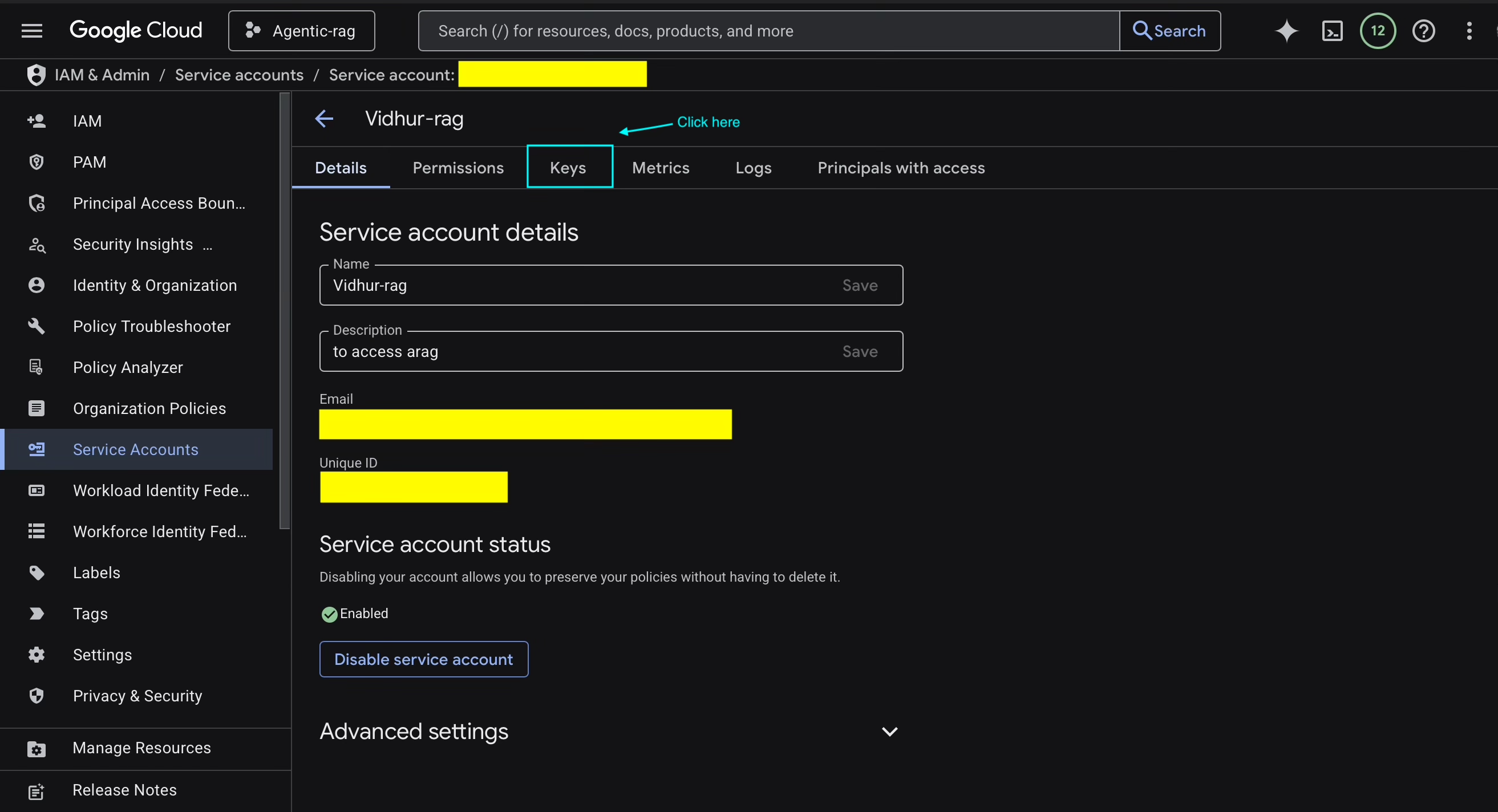 Google Vertex Service Account Details Page
